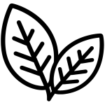 Kratom